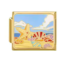 Étoile de mer à la plage