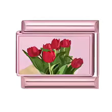 Tulipes rouges
