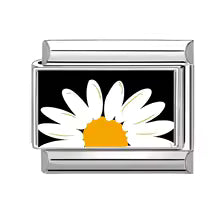 Marguerite sur noir