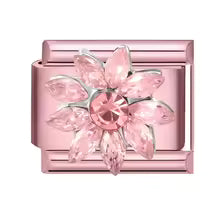 Fleur rose épanouie