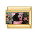 Chat lisant le journal