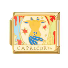 Zodiaque Capricorne