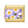 Marguerites lilas