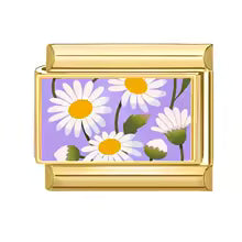 Marguerites lilas