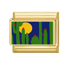 Cactus sous la lune