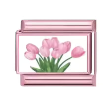 Tulipes roses