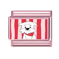 Chiot blanc et rayures