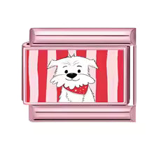 Chiot blanc et rayures