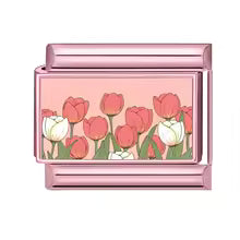Tulipes et lapin